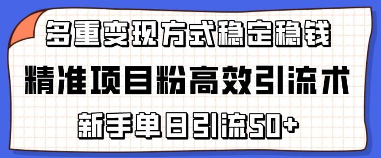 精准项目粉高效引流术，新手单日引流50+，多重变现方式稳定赚钱【揭秘】-有道资源网