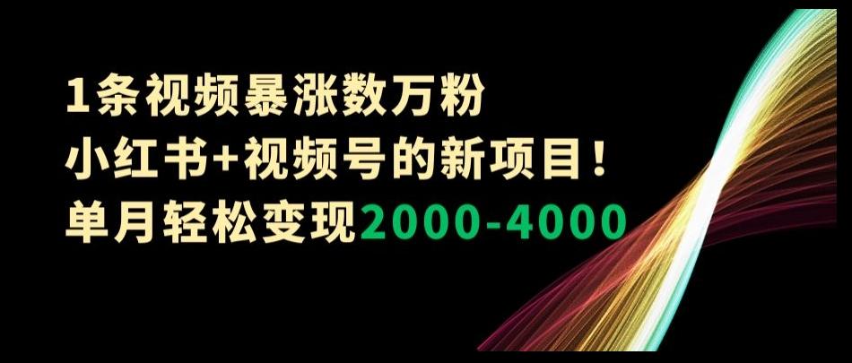 1条视频暴涨数万粉–小红书+视频号的新项目！单月轻松变现2000-4000【揭秘】-有道资源网