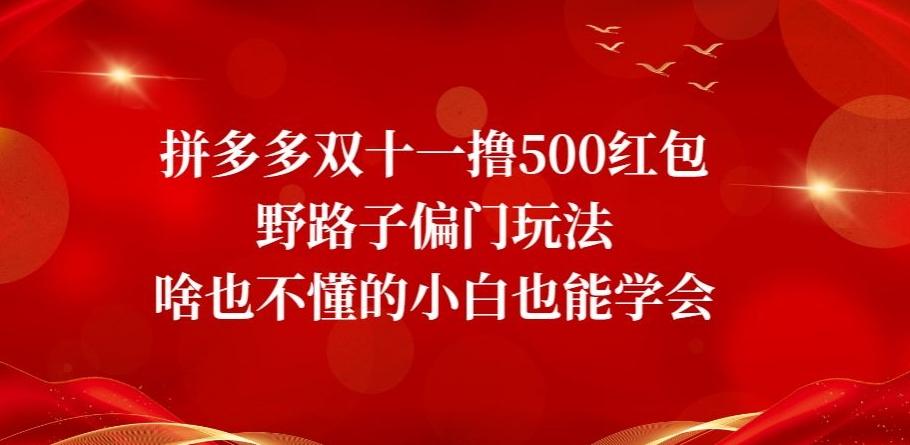 拼多多双十一撸500红包野路子偏门玩法，啥也不懂的小白也能学会【揭秘】-有道资源网