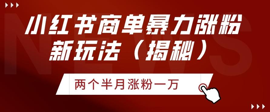 小红书商单暴力涨粉新玩法两个半月涨粉一万（揭秘）-有道资源网