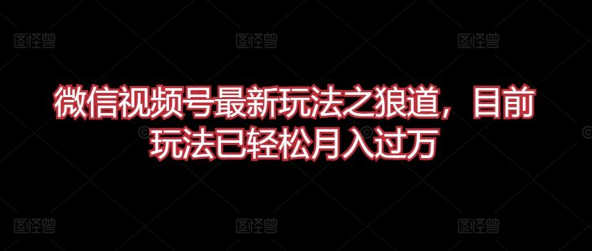 微信视频号最新玩法之狼道，目前玩法已轻松月入过万【揭秘】-有道资源网