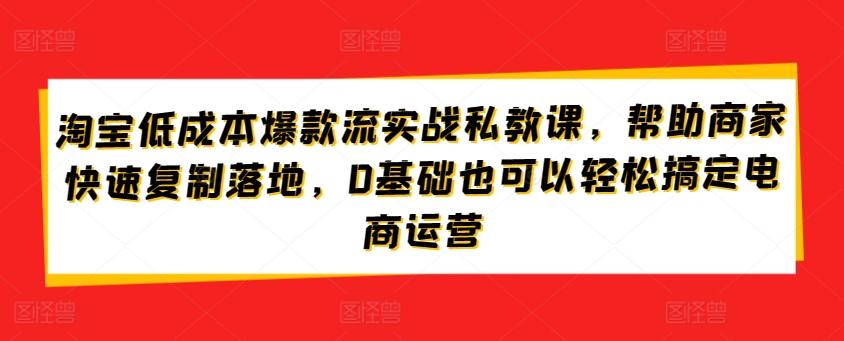 淘宝低成本爆款流实战私教课，帮助商家快速复制落地，0基础也可以轻松搞定电商运营-有道资源网