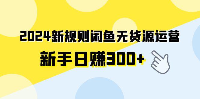 (9522期)2024新规则闲鱼无货源运营新手日赚300+-有道资源网