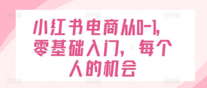 小红书电商从0-1，零基础入门，每个人的机会-有道资源网