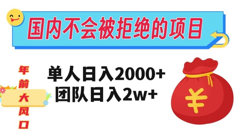 在国内不怕被拒绝的项目，单人日入2000，团队日入20000+【揭秘】-有道资源网