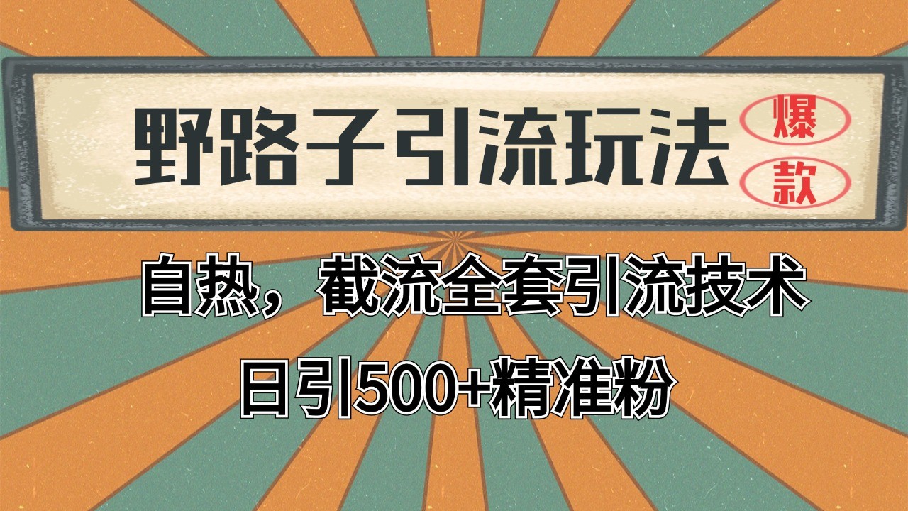 抖音小红书视频号全平台引流打法，全自动引流日引2000+精准客户-有道资源网