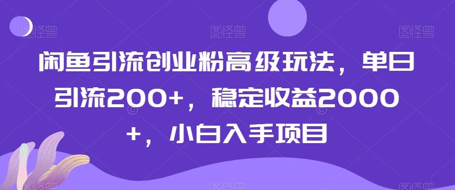 闲鱼引流创业粉高级玩法，单日引流200+，稳定收益2000+，小白入手项目-有道资源网