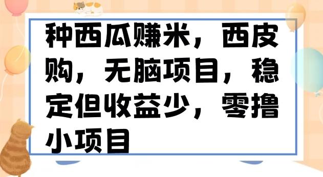 种西瓜赚米，西皮购稳定长久零撸小项目-有道资源网