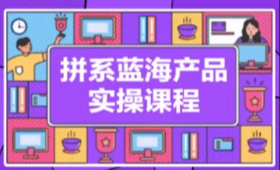 拼系冷门蓝海产品实操课程，从注册店铺到选品上架到流量维护环环相扣-有道资源网