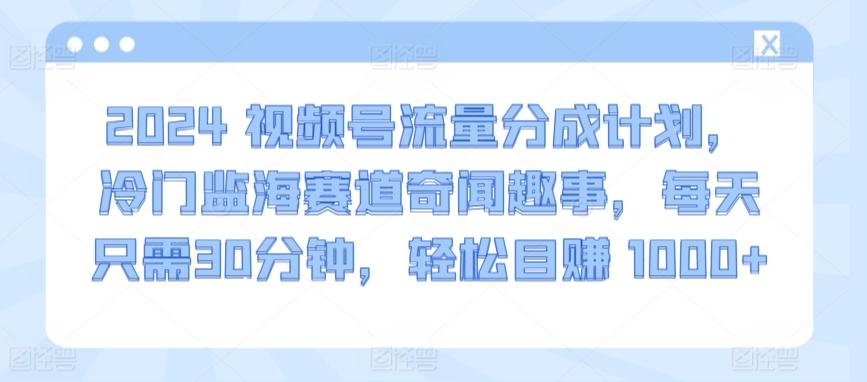 2024视频号流量分成计划，冷门监海赛道奇闻趣事，每天只需30分钟，轻松目赚 1000+【揭秘】-有道资源网