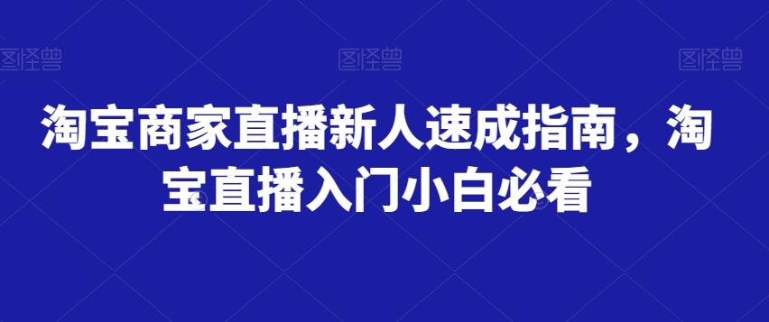 淘宝商家直播新人速成指南，淘宝直播入门小白必看-有道资源网