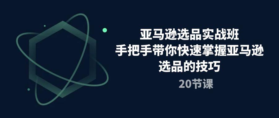 亚马逊选品实战班，手把手带你快速掌握亚马逊选品的技巧(20节课-有道资源网