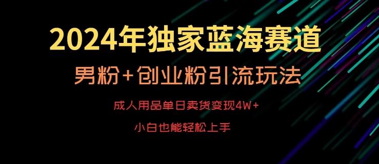 2024年独家蓝海赛道，成人用品单日卖货变现4W+，男粉+创业粉引流玩法，不愁搞不到流量【揭秘】-有道资源网