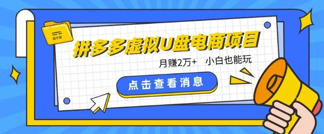 拼多多虚拟U盘电商红利项目：月赚2万+，新手小白也能玩-有道资源网