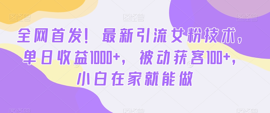 全网首发！最新引流女粉技术，单日收益1000+，被动获客100+，小白在家就能做【揭秘】-有道资源网