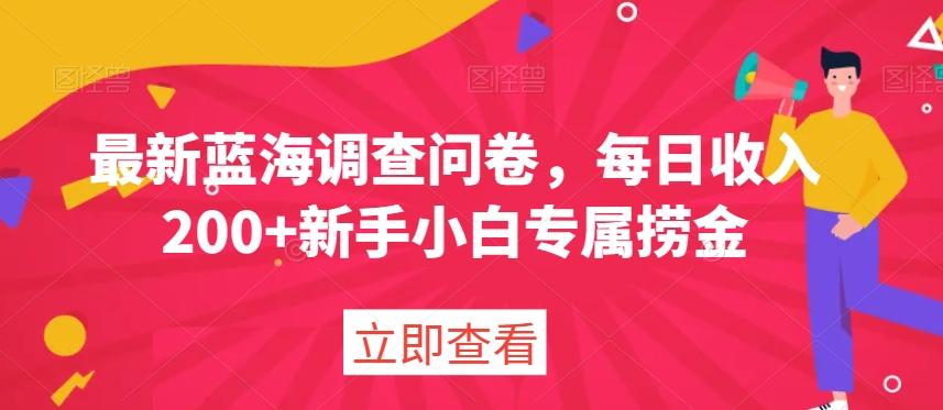 最新蓝海调查问卷，每日收入200+新手小白专属捞金-有道资源网