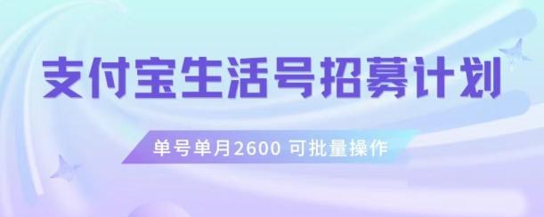 支付宝生活号作者招募计划，单号单月2600，可批量去做，工作室一人一个月轻松1w+【揭秘】-有道资源网