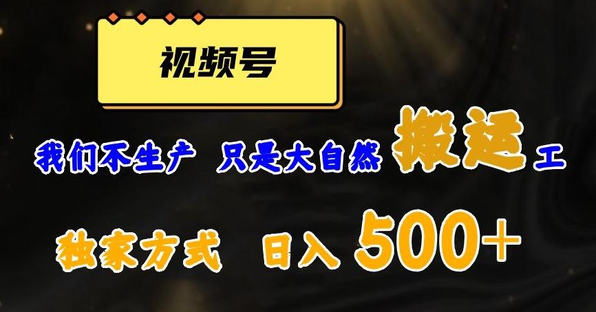 视频号轻松搬运日赚500+，一个1分钟1条原创视频【揭秘】-有道资源网