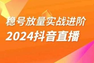 稳号放量实战进阶—2024抖音直播，直播间精细化运营的几大步骤-有道资源网