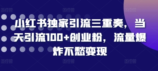 小红书独家引流三重奏，当天引流100+创业粉，流量爆炸不愁变现【揭秘】-有道资源网