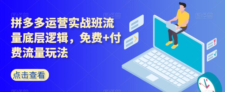 拼多多运营实战班流量底层逻辑，免费+付费流量玩法-有道资源网