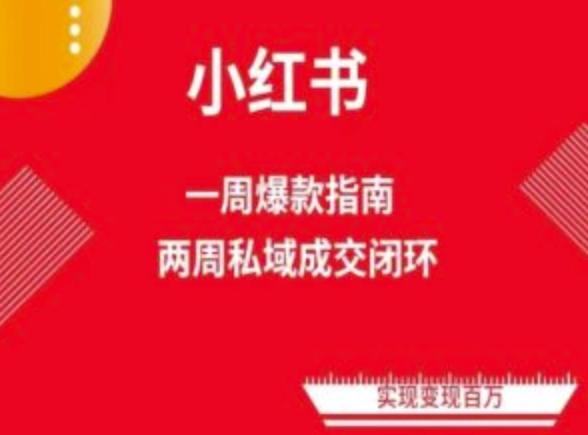 爆款小红书免费流量体系课程(两周变现)，小红书电商教程-有道资源网