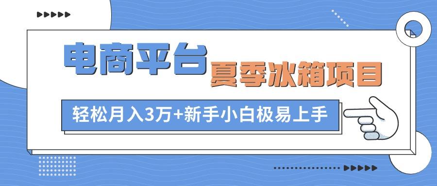 电商平台夏季冰箱项目，轻松月入3万+，新手小白极易上手-有道资源网