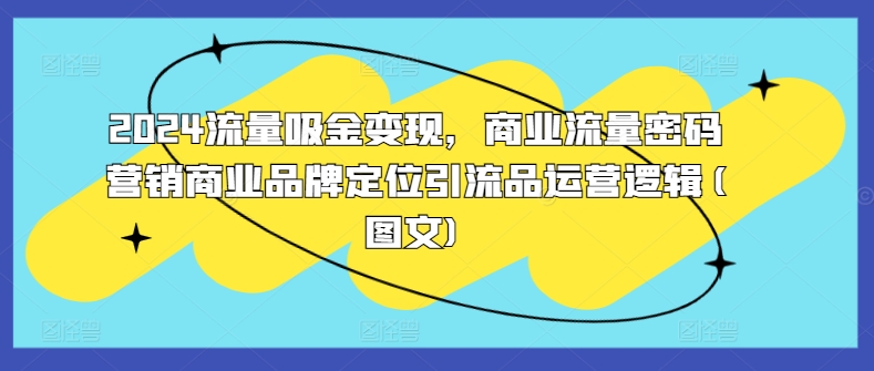 2024流量吸金变现，商业流量密码营销商业品牌定位引流品运营逻辑(图文)-有道资源网