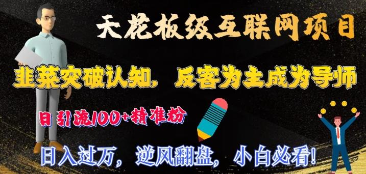 天花板级互联网项目，韭菜突破认知，反客为主成为导师，日引流100+精准粉-有道资源网