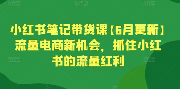 小红书笔记带货课【6月更新】流量电商新机会，抓住小红书的流量红利-有道资源网