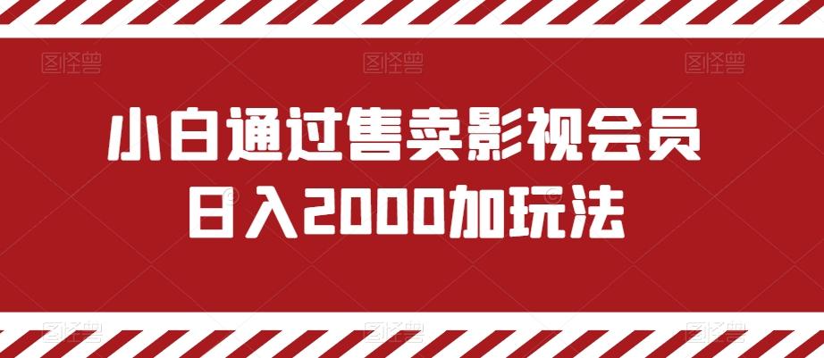 小白通过售卖影视会员日入2000加玩法-有道资源网