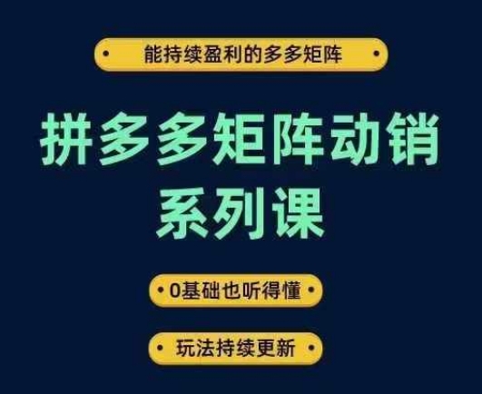 拼多多矩阵动销系列课，能持续盈利的多多矩阵，0基础也听得懂，玩法持续更新-有道资源网