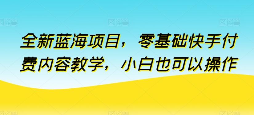 全新蓝海项目，零基础快手付费内容教学，小白也可以操作【揭秘】-有道资源网