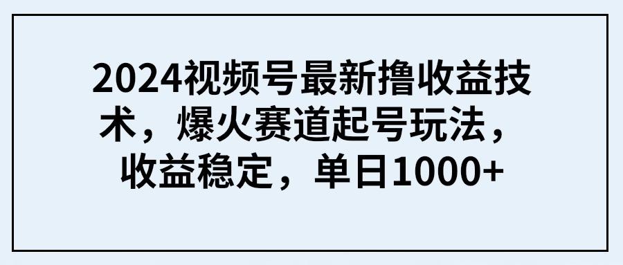 (9651期) 2024视频号最新撸收益技术，爆火赛道起号玩法，收益稳定，单日1000+-有道资源网