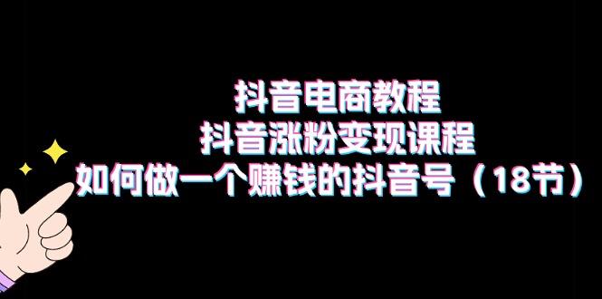 抖音电商教程：抖音涨粉变现课程：如何做一个赚钱的抖音号(18节-有道资源网