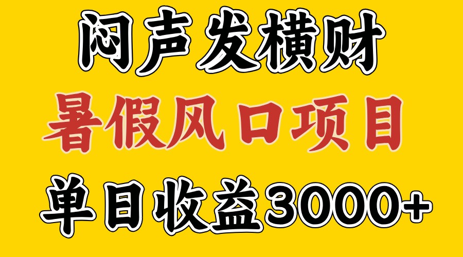 30天赚了7.5W 暑假风口项目，比较好学，2天左右上手-有道资源网