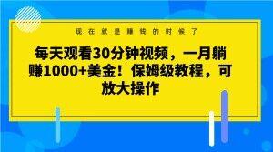 每天观看30分钟视频，一月躺赚1000+美金！保姆级教程，可放大操作【揭秘】-有道资源网