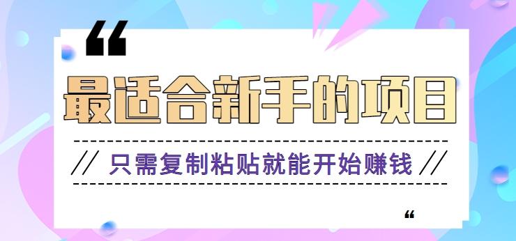 2024最适合新手操作的项目，新手小白只需复制粘贴就能开始赚钱【视频教程+软件】-有道资源网