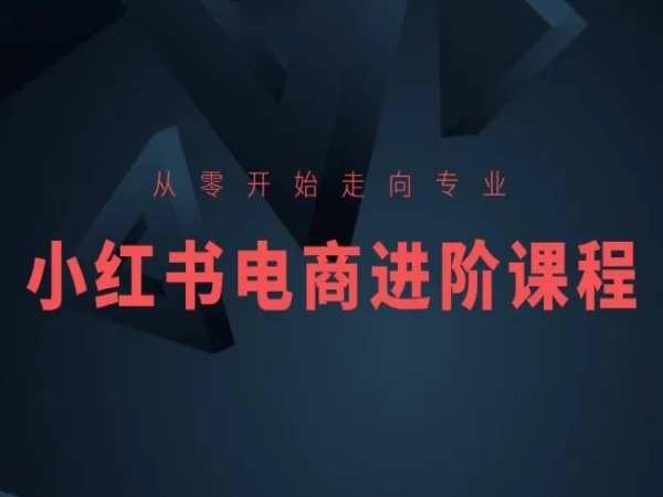 从零开始走向专业，小红书电商进阶课程-有道资源网