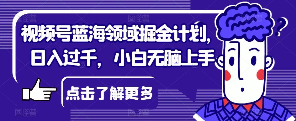 视频号蓝海领域掘金计划，日入过千，小白无脑上手【揭秘】-有道资源网