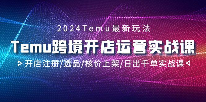 2024Temu跨境开店运营实战课，开店注册/选品/核价上架/日出千单实战课-有道资源网