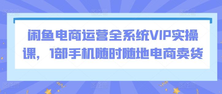 闲鱼电商运营全系统VIP实操课，1部手机随时随地电商卖货-有道资源网