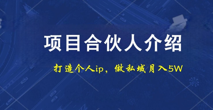 项目合伙人项目，打造个人IP，做私域月入5W，小白勿扰-有道资源网