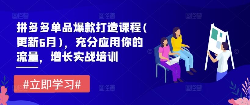 拼多多单品爆款打造课程(更新6月)，充分应用你的流量，增长实战培训-有道资源网