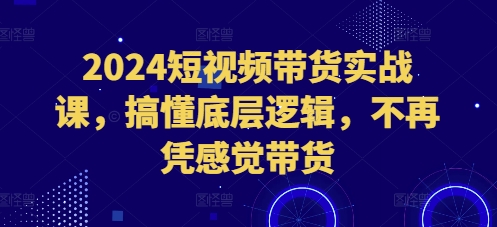 2024短视频带货实战课，搞懂底层逻辑，不再凭感觉带货-有道资源网