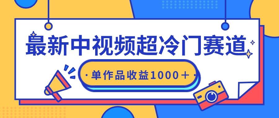 (9275期)最新中视频超冷门赛道，轻松过原创，单条视频收益1000＋-有道资源网