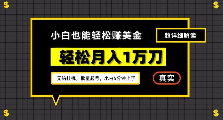 谷歌看广告撸美金2.0，无脑挂机，多号操作，月入1万刀【揭秘】-有道资源网