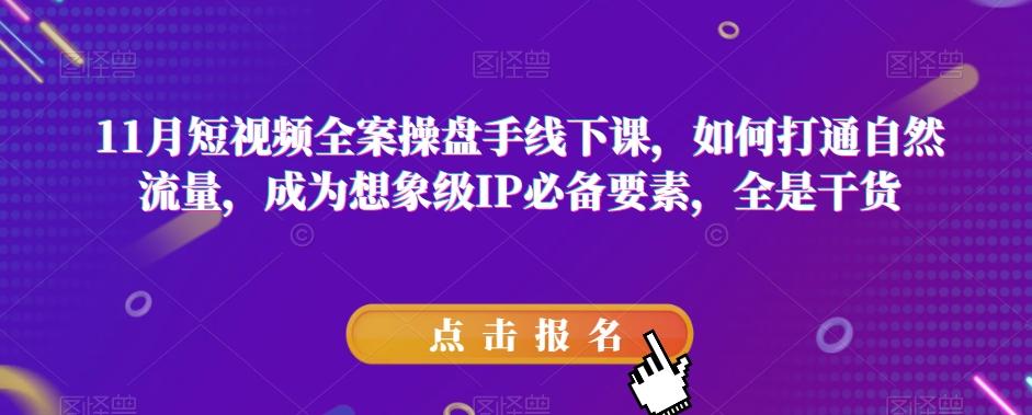 11月短视频全案操盘手线下课，如何打通自然流量，成为想象级IP必备要素，全是干货-有道资源网