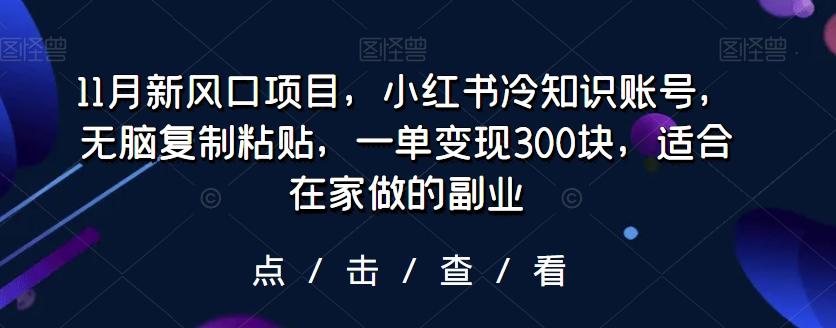 11月新风口项目，小红书冷知识账号，无脑复制粘贴，一单变现300块，适合在家做的副业-有道资源网