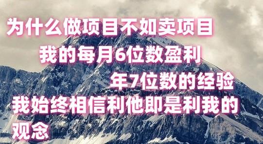 做项目不如卖项目，每月6位数盈利，年7位数经验-有道资源网